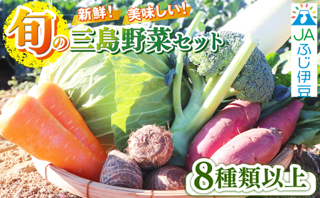 【2026年8月発送 夏野菜】三島野菜詰め合わせセット 8種類以上 JAふじ伊豆 ファーマーズマーケット みしまるかん お取り寄せ グルメ 野菜 旬の詰め合わせ 三島市 静岡県