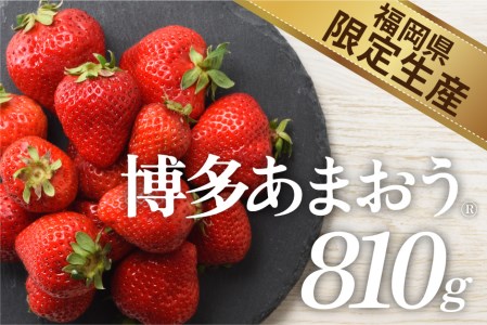 AB168.人気№１獲得謝礼品★限定品★あまおう約８１０g（先行受付．２０２４年１月以降発送）