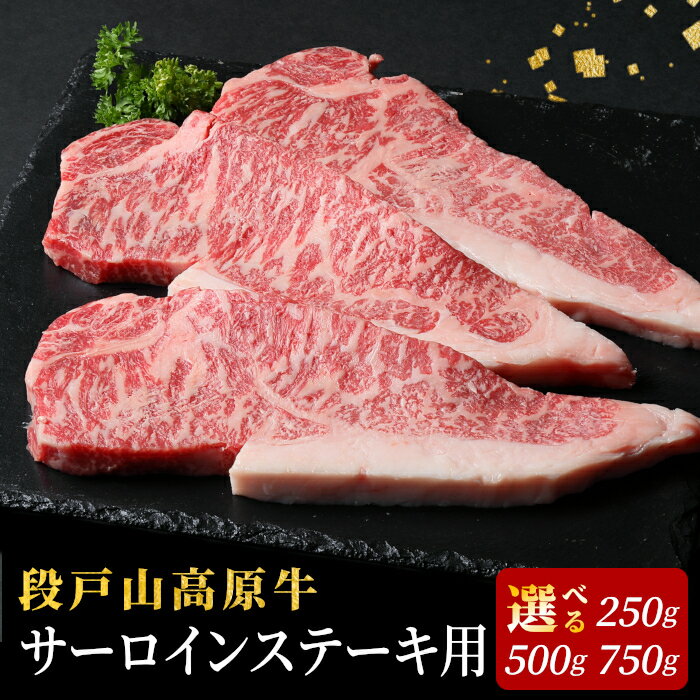 【ふるさと納税】国産牛 段戸山高原牛 サーロインステーキ 250g 500g 750g 1枚 2枚 3枚 国産牛 選べる 内容量 国産 牛肉 牛 サーロイン ステーキ ステーキ 高級部位 日本酒 バーベキュー 肉 厳選 人気 厚切り 赤身 数量限定 キャンプ 10000円 10,000円 10000 -075