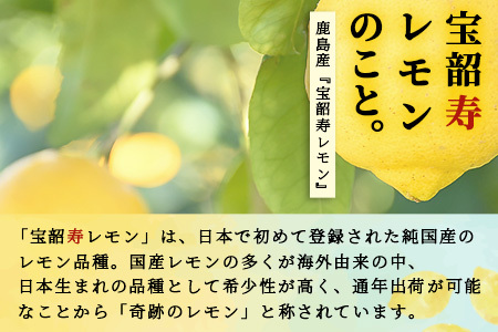 無添加100％国産レモン果汁３本セット B-334