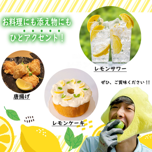 【ふるさと納税】事前受付 牧之原産 波乗りレモン 璃の香 1kg 国産 Lemon 檸檬  柑橘類 柑橘 フルーツ 果物 酸っぱい 果肉 酸味  防腐剤不使用 静岡県 牧之原市