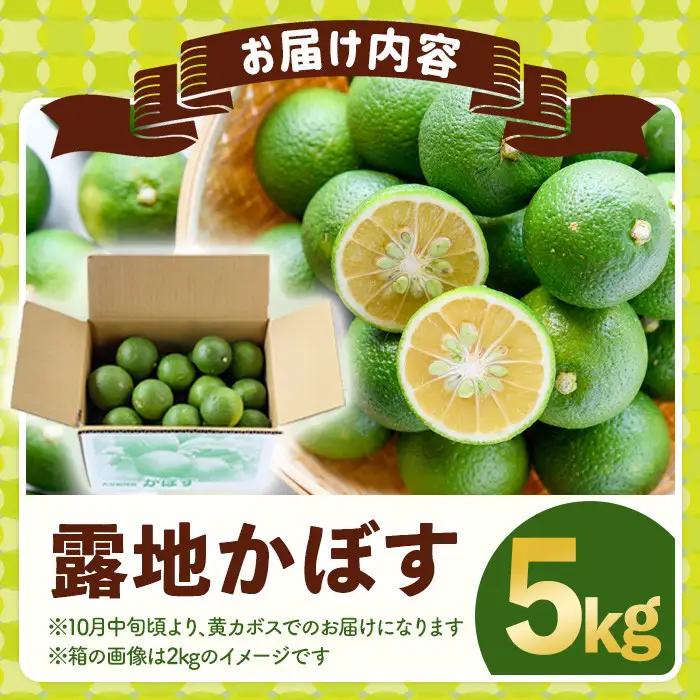 ＜2026年8月上旬以降お申込み順に発送＞露地カボス(約5kg)かぼす カボス 柑橘 特産品 大分県産【107100403】【あいはな農園】