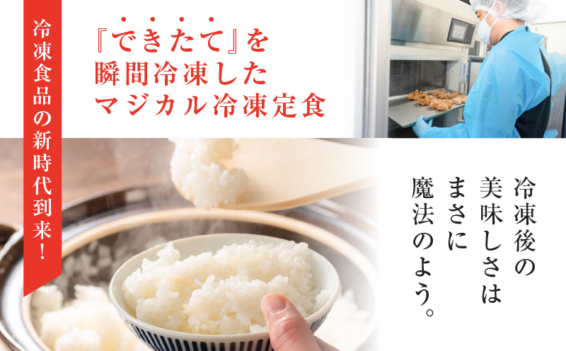 【全6回定期便】マジカル冷凍定食三種セット　K258-T04_b