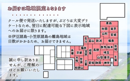 ぶどう 予約受付 2kg 4～8房 2種以上 シャインマスカット 巨峰 安芸クイーンなど おまかせ 完熟 露地栽培 白治園（白井ぶどう組合）