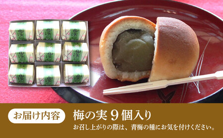 【老舗の菓子屋】築上銘菓「 梅の実 」9 個《築上町》【有限会社 御菓子司 鹿の子】[ABAC017]