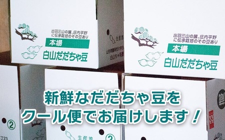 【令和8年産先行予約】山形セレクション認定　だだちゃ豆 「白山だだちゃ」 1.2kg（600g×2袋）　山形県鶴岡市　白山ちゃ茶農園　K-831　| だだちゃ豆 枝豆 えだまめ 豆 1.2キロ 夏の味