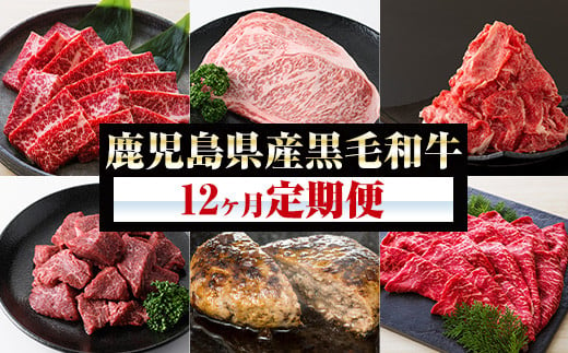 【12か月定期便】鹿児島県産 黒毛和牛 食べ尽くし セット 特撰ヒレステーキ や すき焼き用ロース、プリっプリ の 丸腸や もつ鍋セット など 毎月、少しの贅沢をお届けします！ 【BR-021H】