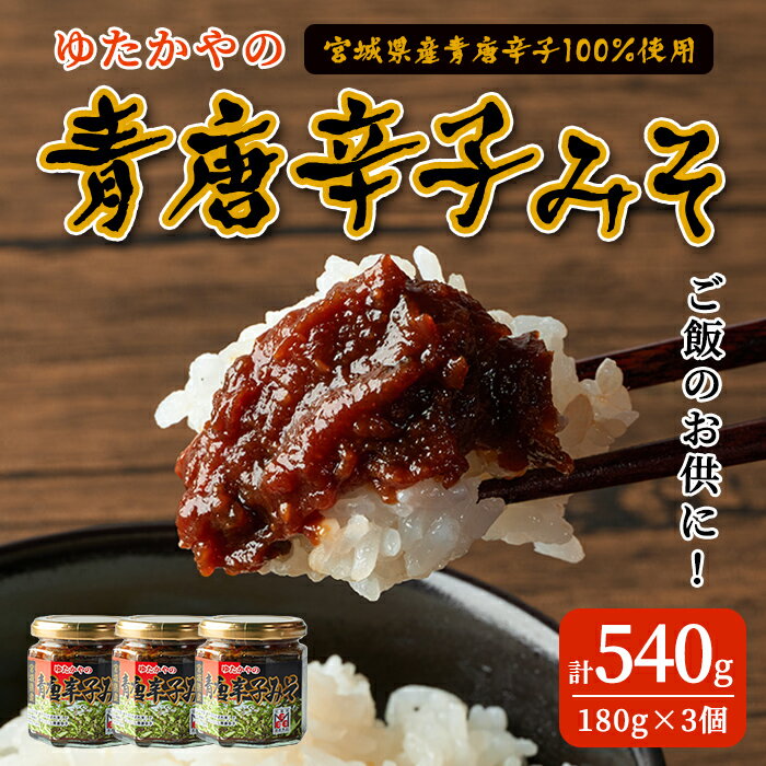 【ふるさと納税】ゆたかやの 青唐辛子みそ 180g×3個 ご飯のお供に 調味味噌 青唐辛子 味噌 青とうがらし 南蛮 調味料 おかず 味噌おにぎり 味噌田楽【豊屋食品工業株式会社】sh043