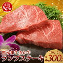 【ふるさと納税】熊本県産 あか牛 【 ランプステーキ 150g×2枚 計300g 】 冷凍 牛肉 ランプ 肉 ステーキ 熊本県産 褐毛和種 牛肉 肉 国産 九州産 熊本県産 冷凍 キメ細かい 上品 濃厚 希少 送料無料 赤身 お肉 046-0242