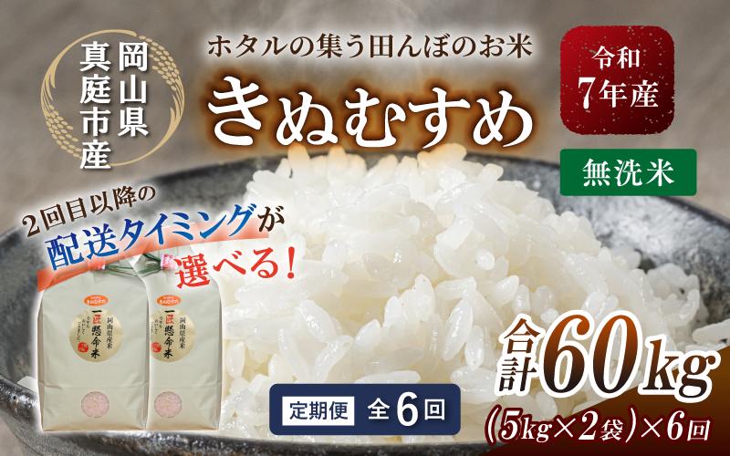 
            ＜定期便 全6回＞ 令和7年新米 真庭市産きぬむすめ 無洗米10kg (5kg×2袋) ×6回 / お米 国産 岡山県 米 人気 ブランド 2025年産 【tkns-tkb023-cho】
          