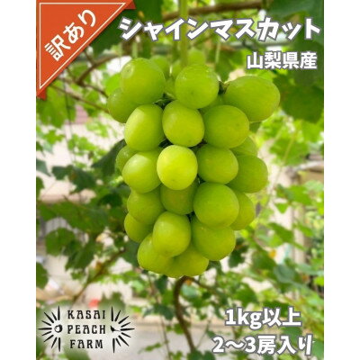 【ふるさと納税】【2026年発送】訳あり シャインマスカット 2～3房 1kg以上【配送不可地域：離島】【1732300】