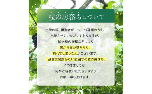 ブドウ王国 長野県から ごきげん果実♪ をお届けします