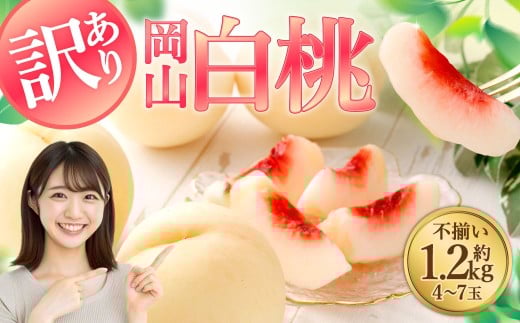【訳あり】岡山白桃（家庭用）1.2kg以上  サイズ不揃い【2026年7月上旬～9月上旬まで順次発送予定】 もも 桃 モモ 4～7玉 フルーツ 果物 岡山県 倉敷市