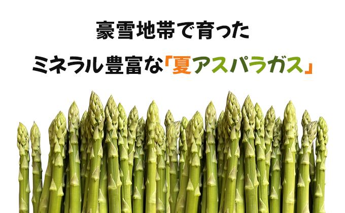 【先行予約／令和8年産】北海道岩見沢産　夏グリーンアスパラ　L〜2Lサイズ 1kg【41104】