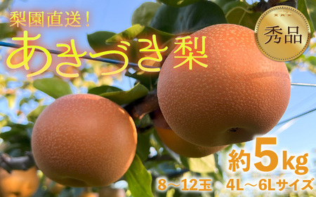 【先行予約】上野梨園のあきづき梨 5㎏箱入り（8～12玉入） / 梨園直送【上野の梨】 / 期間限定 果物 フルーツ 農家直送 シャキシャキ もぎたて 旬 お取り寄せ ※2025年9月下旬より順次発送 [aw077-a009]