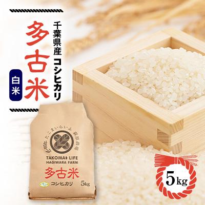 ふるさと納税 多古町 新米　令和8年産　たこまいらいふ萩原農場の多古米コシヒカリ(精米)5kg