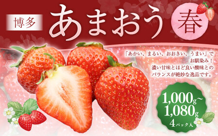 博多あまおう4パック（春） 250g～270g×4パック 合計約1000g～1080g あまおう いちご 苺 イチゴ フルーツ 果物 くだもの【2026年2月上旬-4月下旬発送予定】