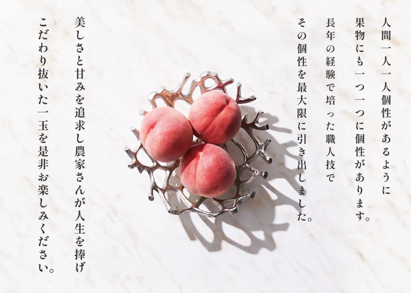 甲州市産 桃 約2kg（5～8個入）自然農法【2026年発送】（BNC）B-445 桃 フルーツ