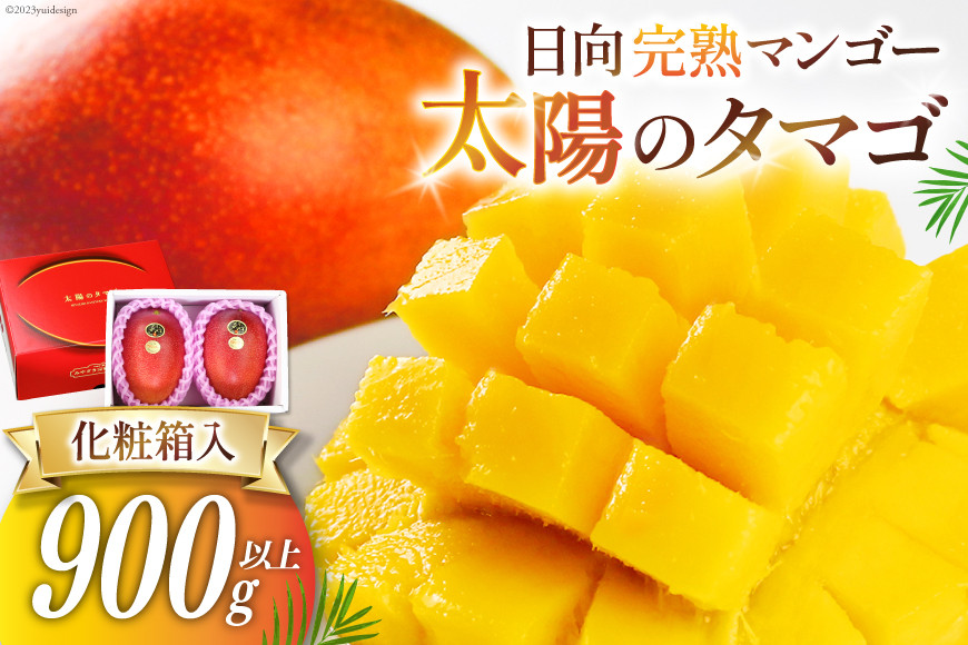 【2027年夏発送】 マンゴー 太陽のタマゴ 秀品 900g以上 [宮崎県農業協同組合日向地区本部（販売課）  宮崎県 日向市 452060664] ふるさと納税  果物 フルーツ 宮崎 完熟 完熟マンゴー 化粧箱 贈答品 贈答 くだもの 期間限定