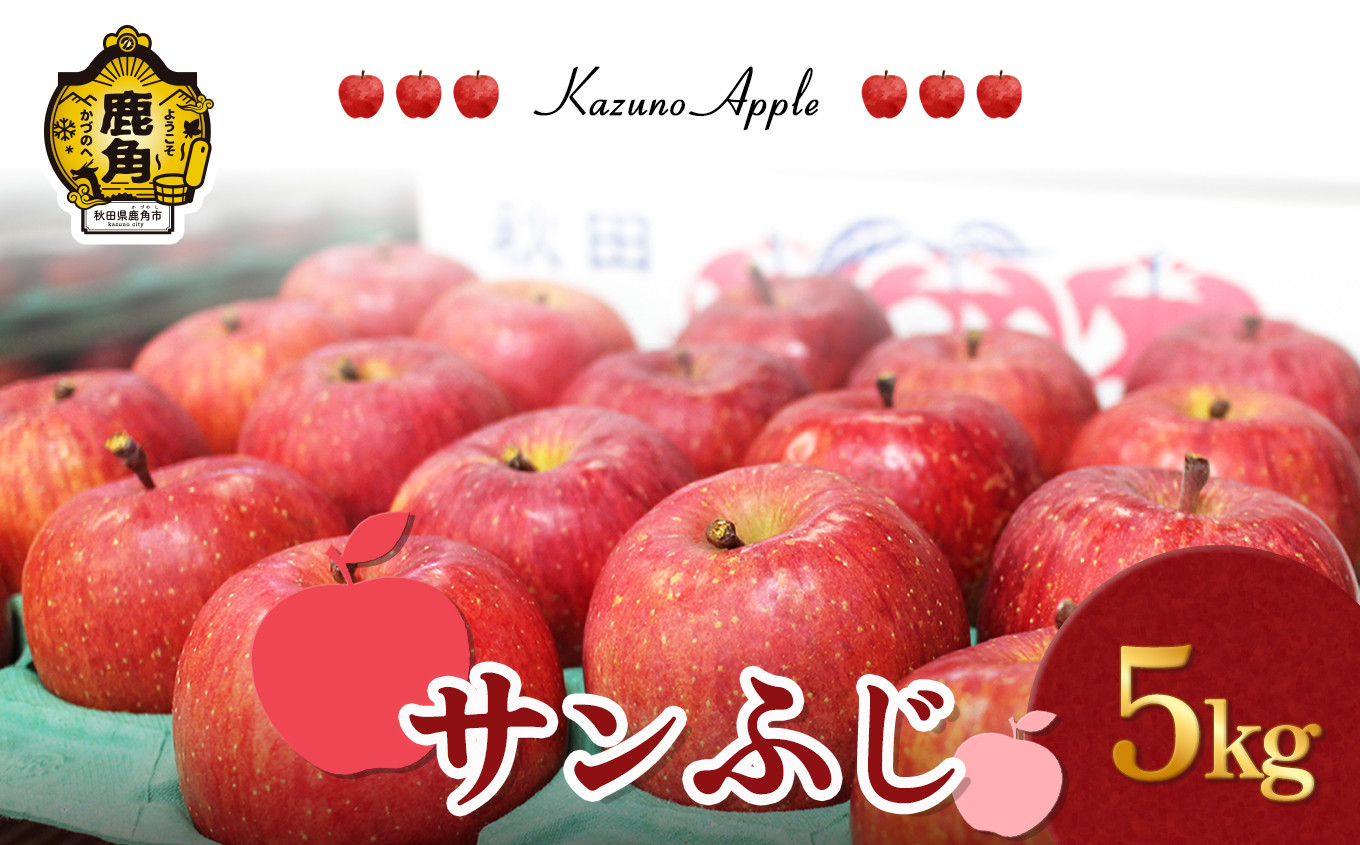 
《先行予約》鹿角りんご「サンふじ」 5kg（14～18玉前後）【佐藤秀果園】●2024年12月上旬発送開始　りんご リンゴ 林檎 ふじ フジ 秋田県 秋田 あきた 鹿角市 鹿角 かづの 5kg 5KG 5Kg ５kg ５KG 5 ５ 産地直送 農家直送
