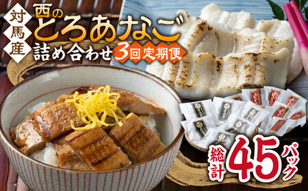 【全3回定期便】対馬産 穴子 詰め合わせ 15PAC [WAV006] 対馬 新鮮 とろ あなご 煮穴子 冷凍 海鮮 
