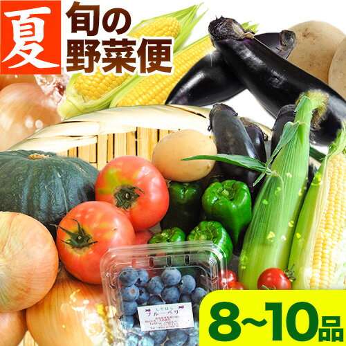 【ふるさと納税】＜先行予約＞ 旬の新鮮な 野菜便 7月夏便 8〜10品 アグリサポート美馬《7月上旬-7月末頃出荷》とうもろこし 夏野菜 じゃがいも きゅうり ブルーベリー キャベツ 茄子 玉ねぎ 豆 野菜 青果物 送料無料 徳島県 美馬市