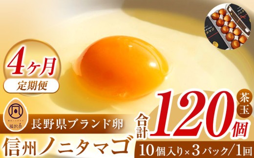 【４ヵ月定期配送】信州ノニタマゴ　茶玉３０個  | 卵 鶏卵 たまご タマゴ ノニタマゴ 長野県 松本市 信州産 信州 ふるさと納税 定期便