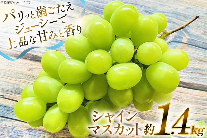 
            【期間限定発送】 シャインマスカット 約 1.4kg [もん前の里 山形県 高畠町 tk06ays960004] フルーツ 果物 くだもの ぶどう ブドウ 葡萄 1.4キロ 甘い
          
