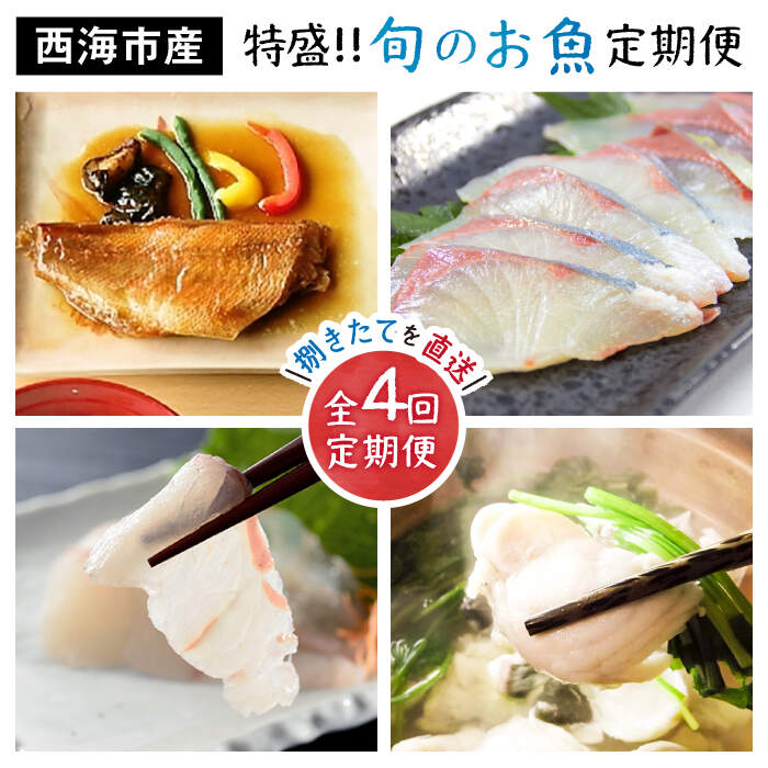 【ふるさと納税】【旬のお魚 定期便 】大島の海の幸を贅沢定期便に！＜大島水産種苗＞ [CBW013] 長崎 西海 魚 海鮮 刺し身 刺身 アジ タイ 鯵 鯛 フグ ヒラメ 切り身 ブロック 贈答 ギフト プレゼント