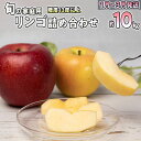 【年明け以降発送】家庭用 旬のリンゴ詰め合わせ 約10kg糖度13度以上（24〜40玉程度）【弘前市産・青森りんご】