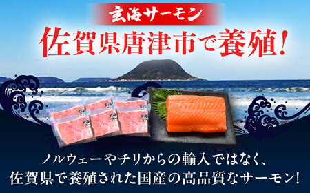 玄海サーモン柵80g×6袋 / 佐賀県 / 株式会社九州特産品販売 [41AECT008]