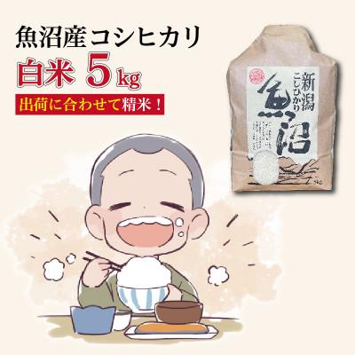 ふるさと納税 十日町市 魚沼産コシヒカリ【精米】5kg