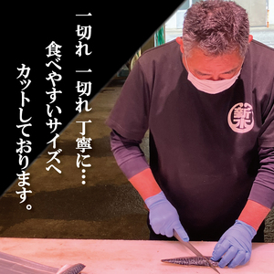 サケ 鮭 シャケ 冷凍 おかず 骨無し 魚 お魚 魚介 海鮮 安心 人気 大容量 小分け ごはんのお供 ふっくら やわらか 美味しい 焼き魚 / 骨なし 無添加 銀シャケ 切身 50g × 16枚 (