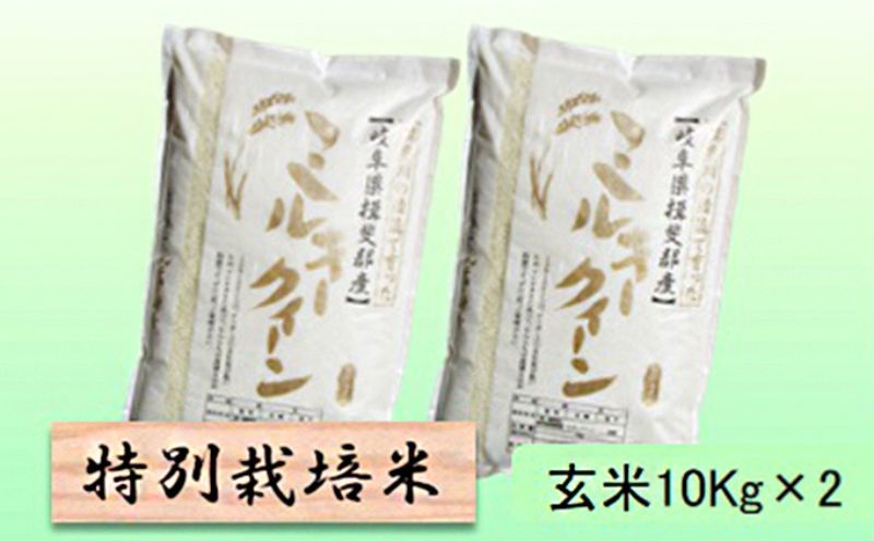 【CF】【令和7年産】特別栽培米 20kg【玄米】（ミルキークイーン）