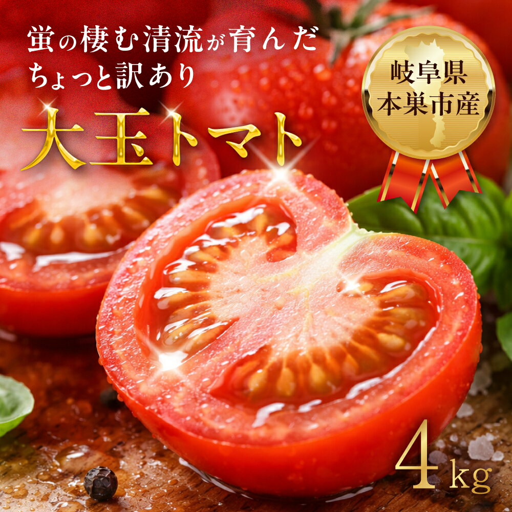 【ふるさと納税】大玉トマト プリマドンナ 4kg 令和8年産 大玉トマト サイズ おまかせ 不揃い 訳あり 訳アリ 野菜 岐阜県産 本巣市 産地直送 新鮮 期間 数量限定 常温 ひかるファーム 美味しい 丸かじり 加工