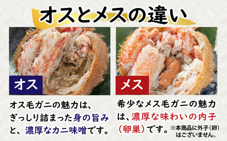 【訳あり】蟹好き集まれ！選べる北陸産毛ガニ 甲羅盛Bセット【70,000円コース】[G-096009_02] / カニ 蟹 かに ケガニ 毛蟹 毛がに 雌 ゆで 茹で 茹でがに ボイル 甲羅盛 甲羅盛