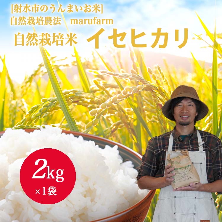 【ふるさと納税】【射水の美味しいお米】【自然栽培農法】自然栽培農家 marufarm 自然栽培米「イセヒカリ」2kg ※2026年10月～発送