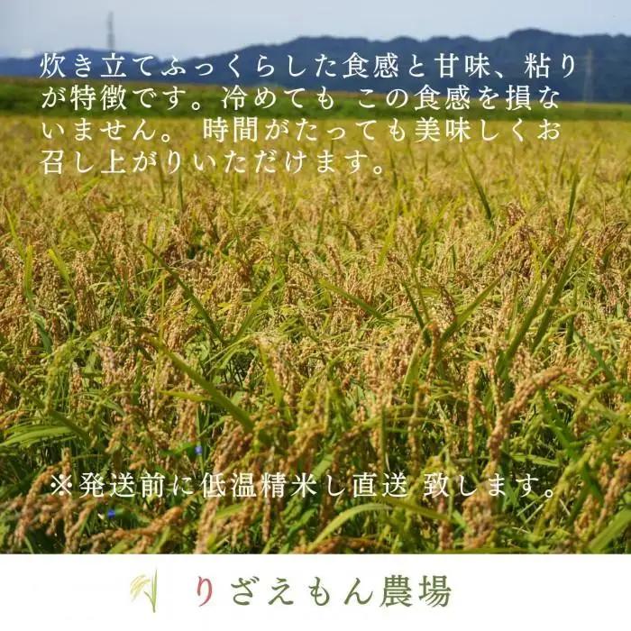 《令和8年産　新米予約受付》【定期便3回×2kg《合計6kg》】南魚沼産コシヒカリ　白米 2kg　＼生産農家直送／【2026年10月上旬より順次発送予定】