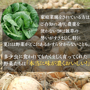 【4回定期便】＜アスカ有機農園＞旬の京野菜セットS定期便＊毎月お届け全4回定期便≪定期便 セット 野菜定期便 ふるさと納税野菜定期便 野菜詰め合わせ 野菜セット 野菜定期便 厳選野菜 旬野菜定期便 京