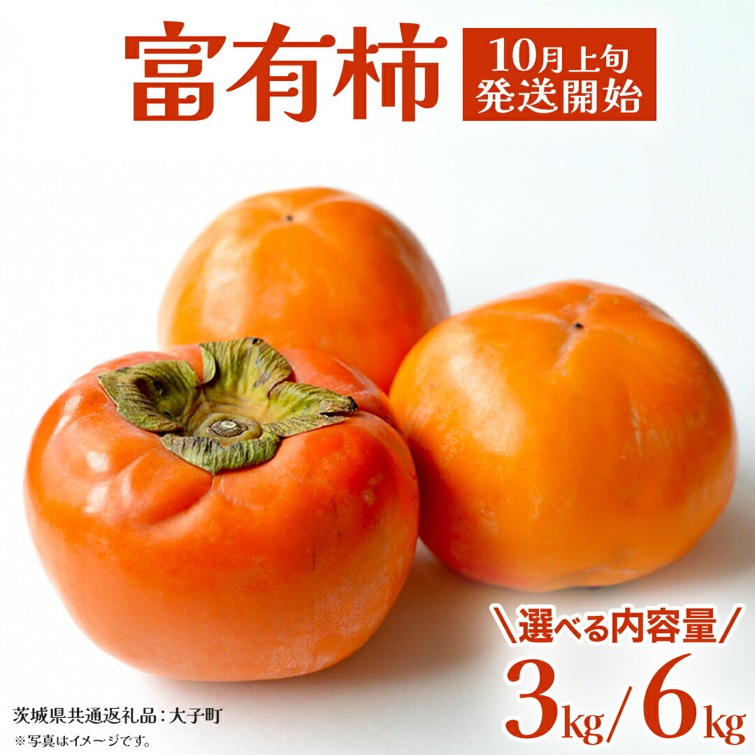 【ふるさと納税】《 選べる 内容量 》富有柿 約3kg / 約6kg【2025年10月上旬発送開始】(茨城県共通返礼品：大子町)　柿 カキ かき 果物 フルーツ 旬 季節限定 期間限定