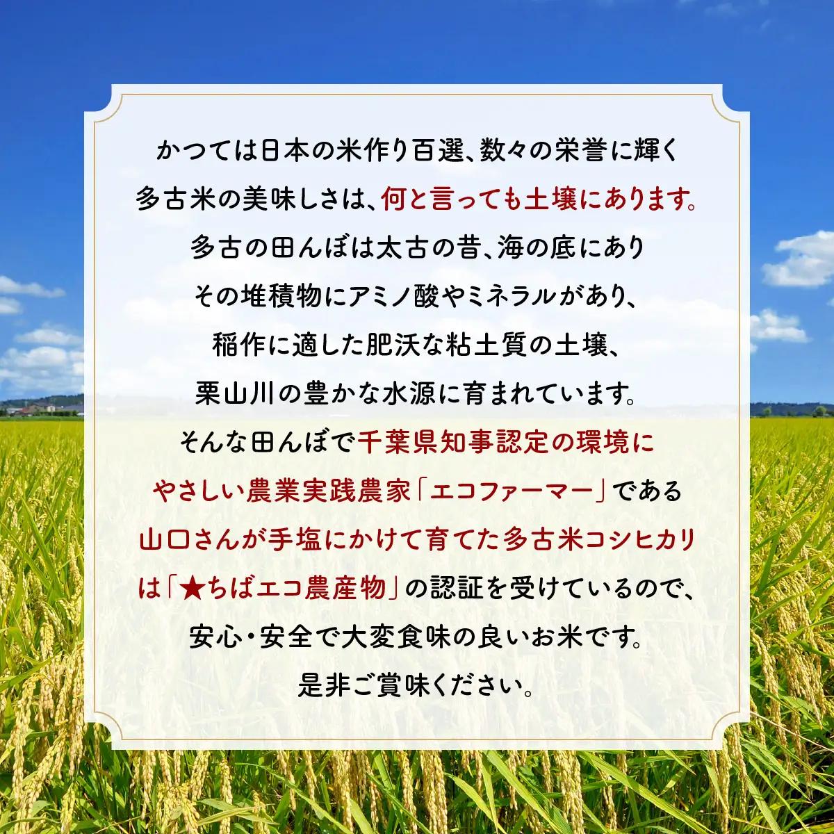 山口さんちの【令和8年産】多古米コシヒカリ(精米)5kg_ 精米 米  【配送不可地域：離島・沖縄県】TAKF043