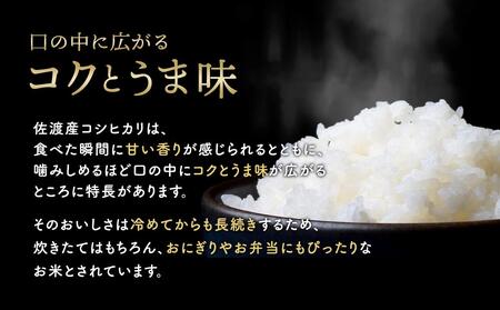 【令和５年度産】佐渡羽茂産コシヒカリ 5kg