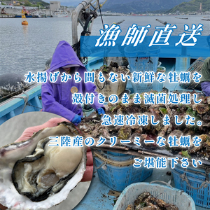 殻付き 春っこ 牡蠣 1袋 ( 12個入り ) 生食用 冷凍 数量限定 カキ かき 殻付き牡蠣
