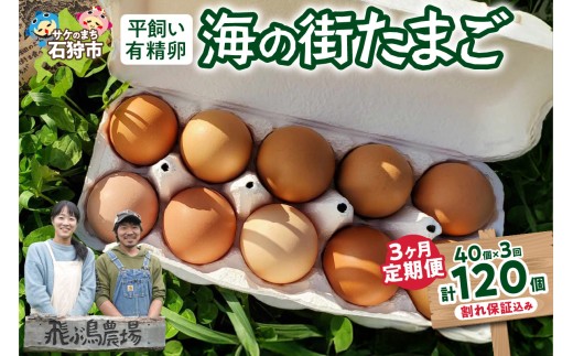 【定期便】飛ぶ鳥農場　海の街たまご　40個×3か月