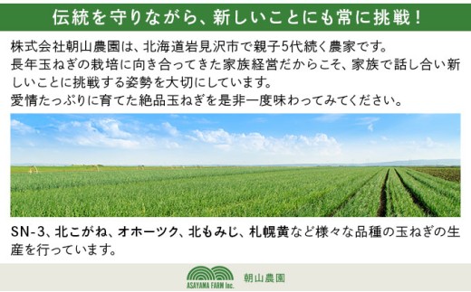 【先行予約】畑から直送の新鮮野菜！玉ねぎ（SN-3）10kg【a168-002】 10kg