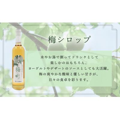 ふるさと納税 伊豆市 【伊豆市ブランド認定】AMAGIFT(アマギフト)セット | びわ茶・梅シロップ・エコバッグ | |  | 02