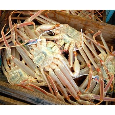 ふるさと納税 新温泉町 松葉ガニの本場・兵庫県新温泉町　とれたて　訳あり・松葉ガニ(釜茹で・冷蔵)　1〜2枚入 |  | 01