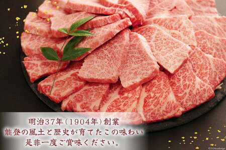 ハンバーグ 能登牛 能登豚 ハンバーグ 150g 4個