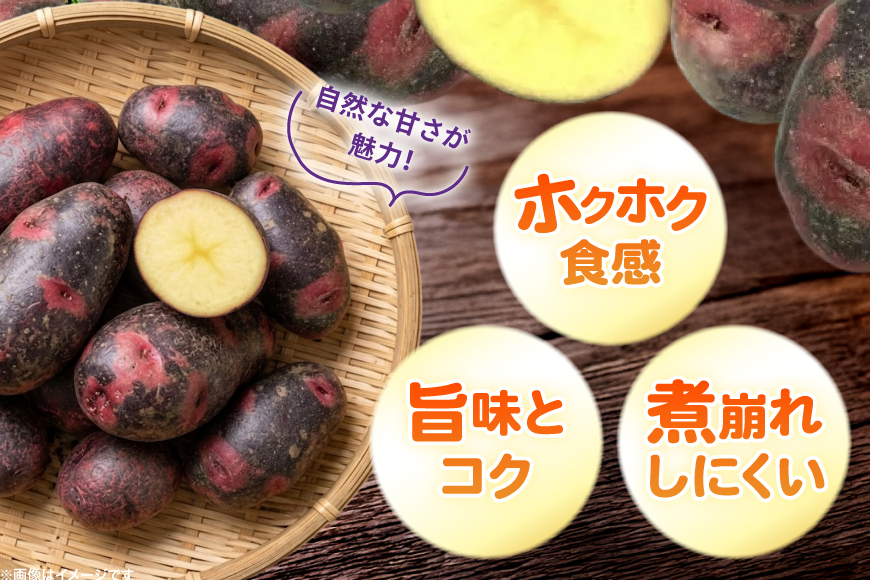 じゃがいも デストロイヤー 5kg [けんぶちVIVAマルシェ 北海道 剣淵町 14656393] ジャガイモ 芋 いも ポテト 野菜 秋野菜 秋 常備野菜 カレー シチュー ポテトサラダ 肉じゃが