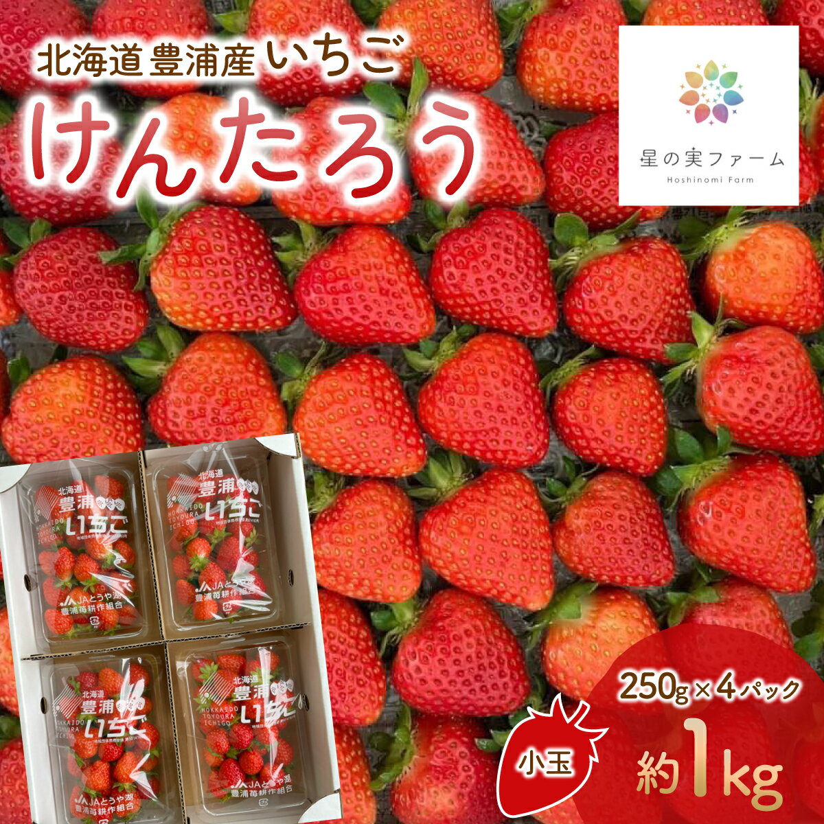 【ふるさと納税】【2026.4月下旬以降順次出荷】北海道 豊浦 いちご 小玉 けんたろう 250g×4パック1箱 約1kg 【 ふるさと納税 人気 おすすめ ランキング 果物 いちごイチゴ 苺 けんたろう パック おいしい 美味しい 北海道 豊浦町 送料無料 】 TYUW001